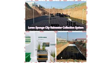 PPB storm water collection module