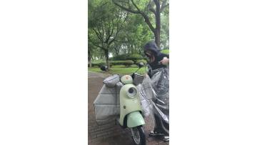 electric vehicle canopy