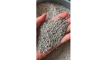 perilla seed la gi