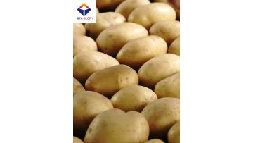 K2139AL Potato slicer