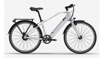 Rear Motor 30 Mph Electric Bike