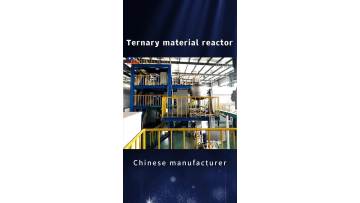 Ternary precursor reactor7