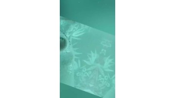 polyester fabric