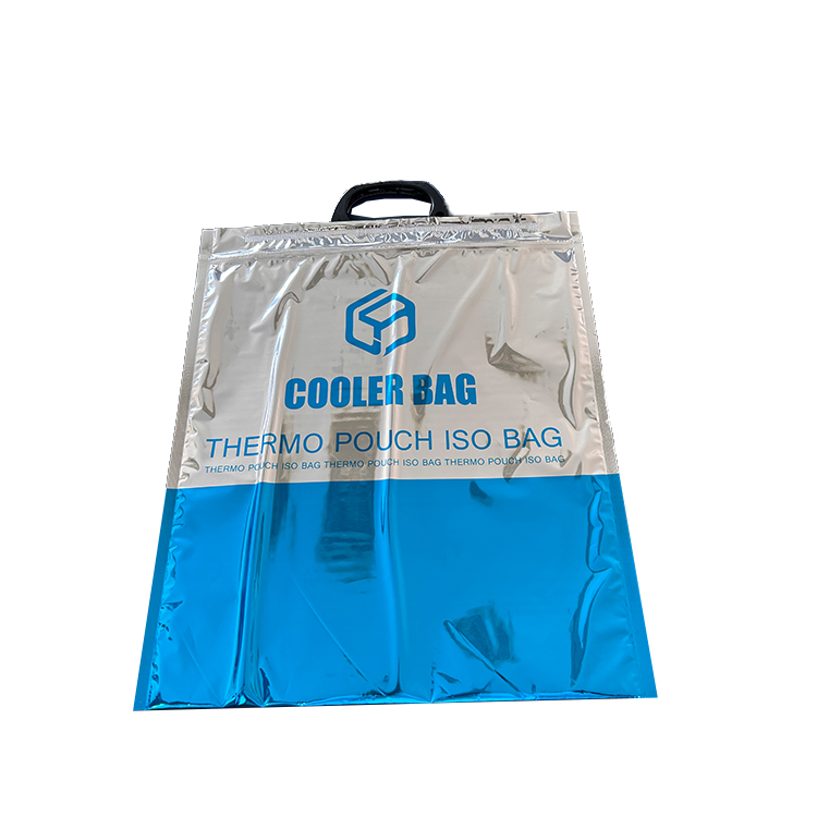 Cooler Bag