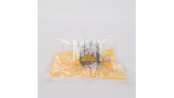 Air Filter Change Indicator 096-5028