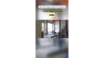Full‑set technical document packages supporting overseas customer validation and project coordination works