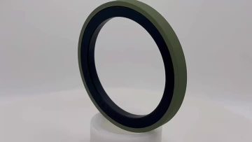 Piston Seals SPG