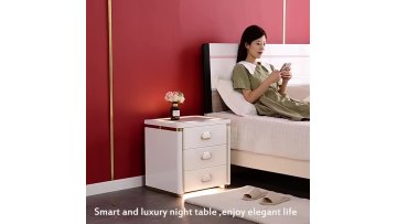 yingbosafebox biomertics fingerprint safe hidden safe well furniture1
