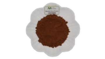 Youth Manufacturer Water Soluble Rhodiola Rosea Powder Extract1