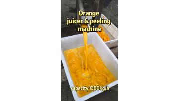 Orange Peeler + Juicer