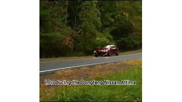 2024 Nissan Altima 2.0L XE True Edition