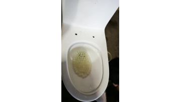 siphonic one piece toilet 8267 flushing
