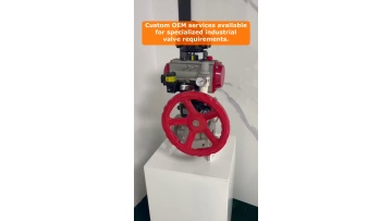 Video 26