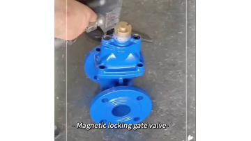 Magnetic locking gate valve