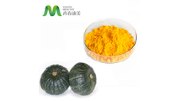China Supplier Pure Natural Pumpkin Protein Powder 70%1