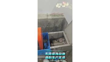 Y066 Wet Process Fish Meal & Fish Oil Plant | Stable Operation in Southeast Asia |Longyuan Sifang