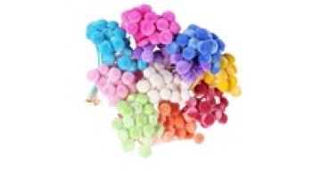 Preserved Flower Arrangements: Brazilian Happy Flowers with Dried Button Chrysanthemums1