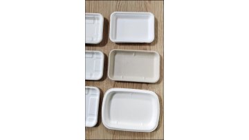 Tray Food Frozen Trays For Fresh Pulp Container Bagasse Cooked High Quality Black Poultry Paperen Cutting Meat Packaging1