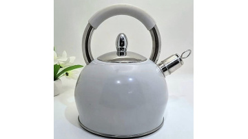 FH-110W stainless steel Smooth white kettle