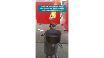 Video 5