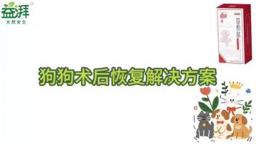 Pet Healing Supplements dog