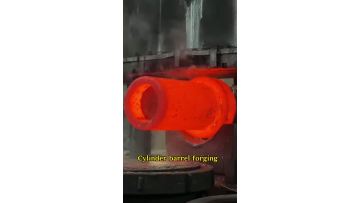 Cylinder barrel forging