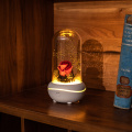 Rose fragrance lamp unique waterless aroma diffuser