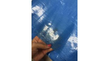 blue fish pond liner