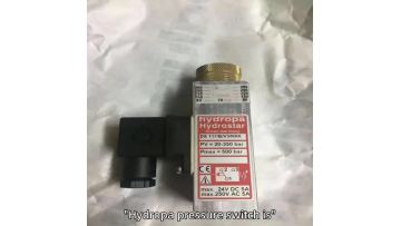 Hydropa Pressure Switch,  Full Series DS117, DS507, DS307