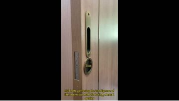 Sliding door HD-60118