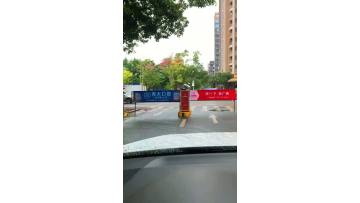 Parking assist system