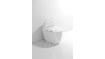 846U1 siphonic toilet