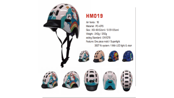 Helmet sample 1