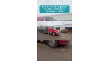 Video 53