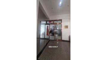 Li Yang's Presentation Video