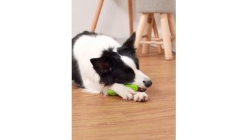 DOG CHEW BONE TOY