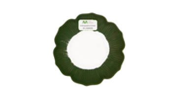 Andrographis Paniculata Extract Powder Andrographolide From China Supplier1