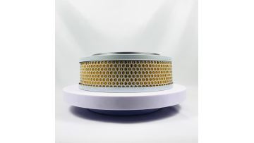 Air Filter SK-4139AY NA413960 C33009