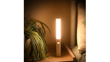 DMK-024PL Rechargeable Portable Sensor Night light