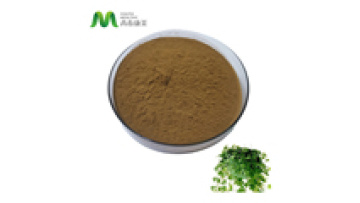 Youth Free Sample Natural Hedera Helix Extract Hederagenin Powder1