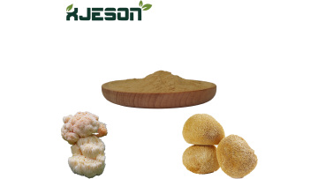 Lion's Mane Mushroom Extract