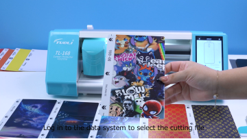 TL-168 back film cutting machine