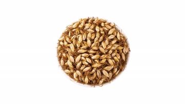 Dry-Fried Barley Sprout