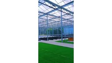 glass Greenhouse