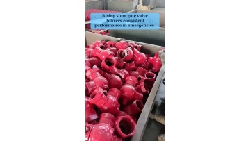Video 19