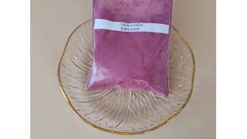 Cranberry Extract