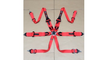 Zhejiang New SFI16.1TAKADA 3 inch 5 points Camlock customized car interior parts safety harness1