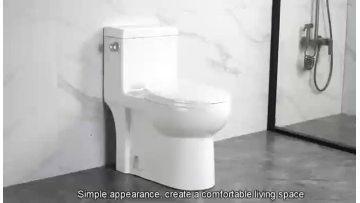 white toilet2