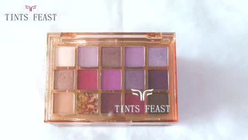 15 color eyeshadow 