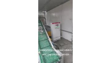 Hollow paddle dryer